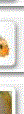 parenteral,